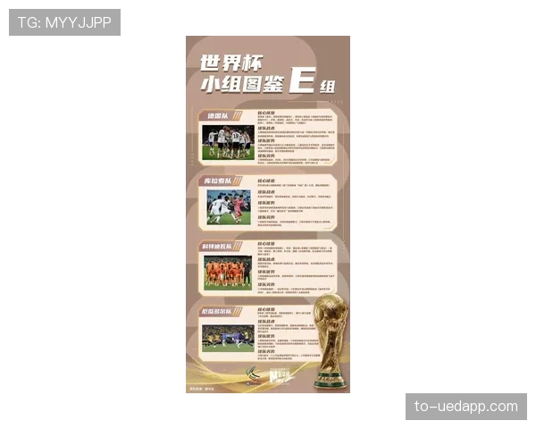 世界杯E组最新晋级概率公布 世界杯E组最新晋级概率公布